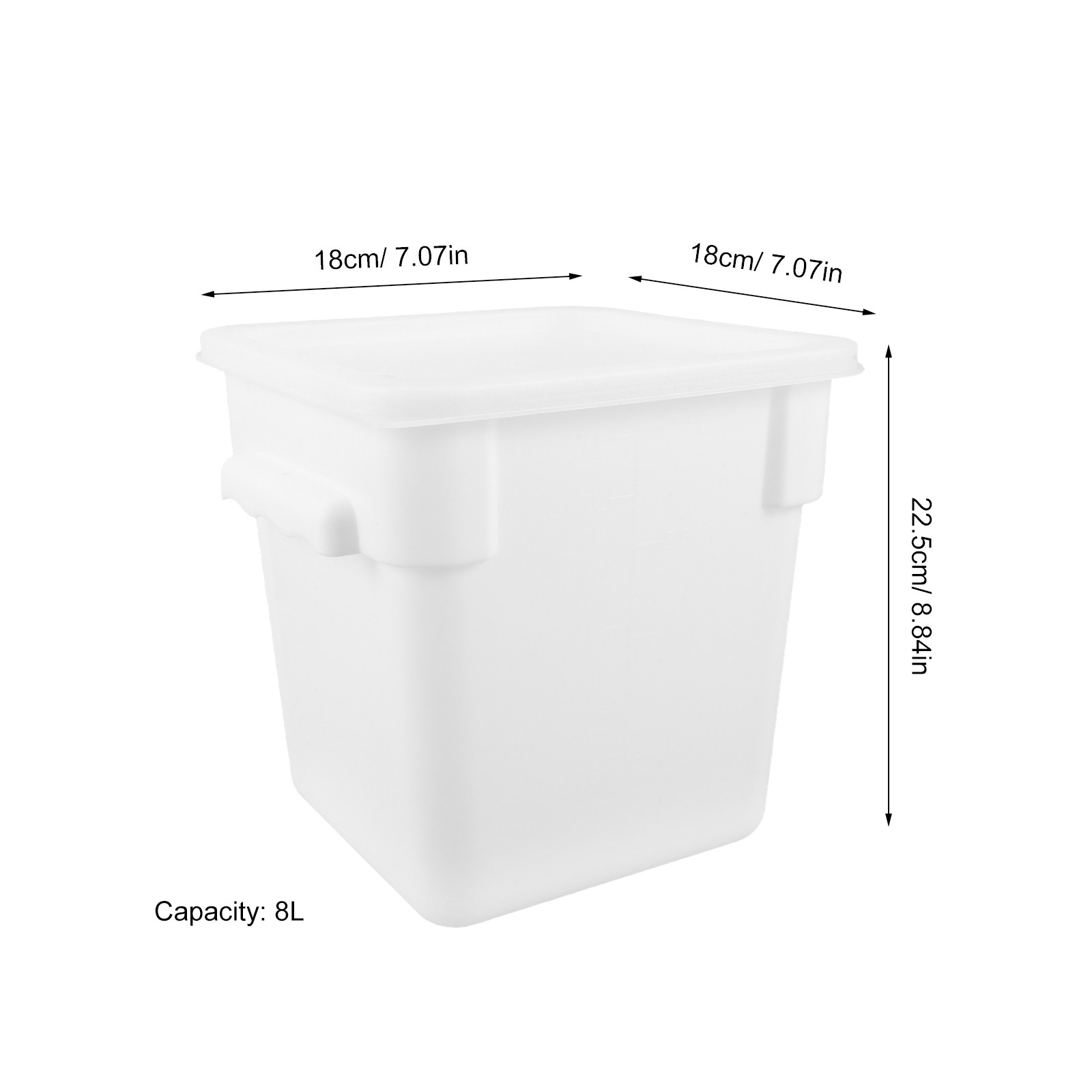 Contenitore Quadrato Grande da - Meal Prep Container recensione e prezzo